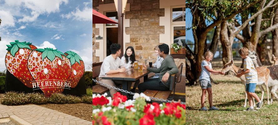 Hahndorf Highlights