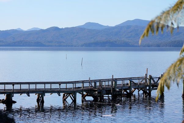 Cruisin’ Ultimate Romantic Escape By Chris Patch Gordon River Cruise, Strahan