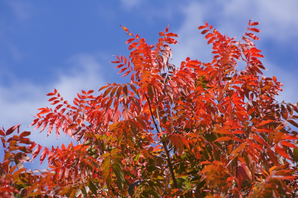 10 Australian Destinations to Visit in Autumn 10 Australian Destinations To Visit In Autumn - Cruisin Motorhome Rentals Australia