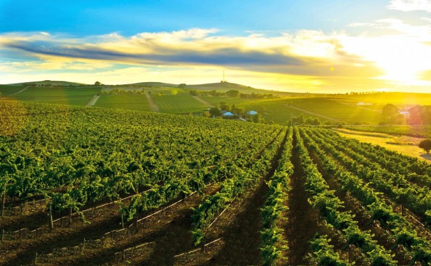 Clare Valley, South Australia 