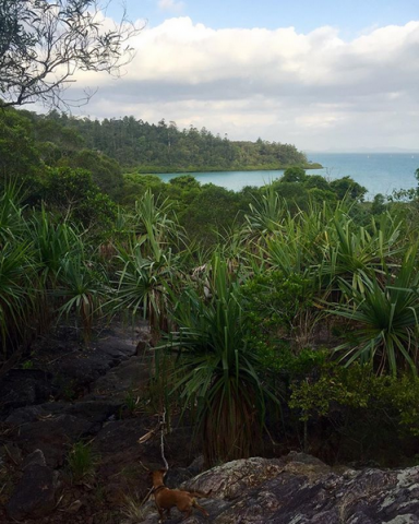 Must Do Day Walks & Treks Around Australia Coral Beach