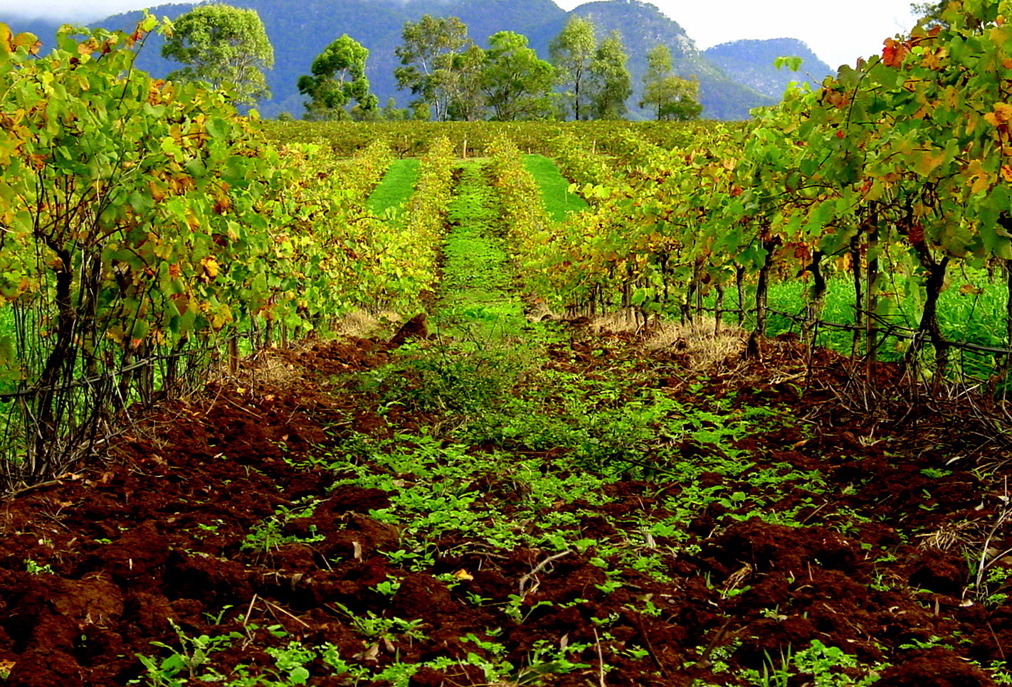 10 Australian Destinations to Visit in Autumn 10 Australian Destinations To Visit In Autumn - Cruisin Motorhome Rentals Australia