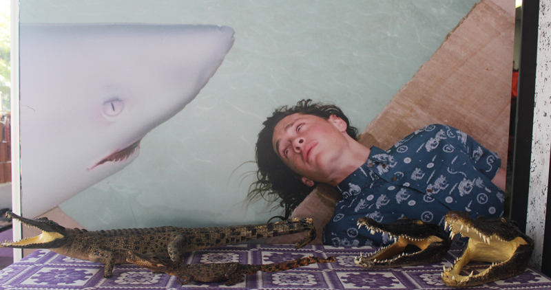 The Cruisin’ Ultimate Travel Reporter Experience Part 2 The Cruisin’ Ultimate Travel Reporter Experience Part 2 - Cruisin Motorhome Rentals Australia