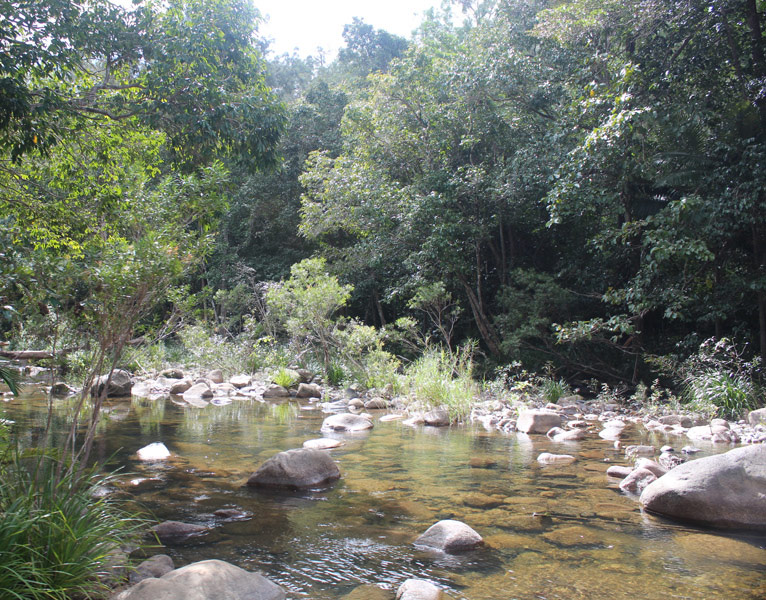 The Cruisin’ Ultimate Travel Reporter Experience Part 2 The Cruisin’ Ultimate Travel Reporter Experience Part 2 - Cruisin Motorhome Rentals Australia