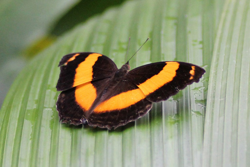 The Cruisin’ Ultimate Travel Reporter Experience Part 2 The Cruisin’ Ultimate Travel Reporter Experience Part 2 - Cruisin Motorhome Rentals Australia