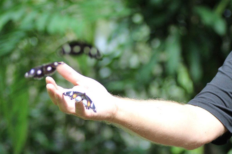 The Cruisin’ Ultimate Travel Reporter Experience Part 2 The Cruisin’ Ultimate Travel Reporter Experience Part 2 - Cruisin Motorhome Rentals Australia