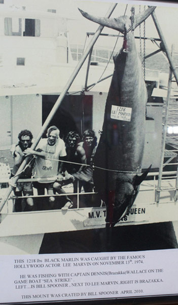 The Cruisin’ Ultimate Travel Reporter Experience Part 2 The Cruisin’ Ultimate Travel Reporter Experience Part 2 - Cruisin Motorhome Rentals Australia