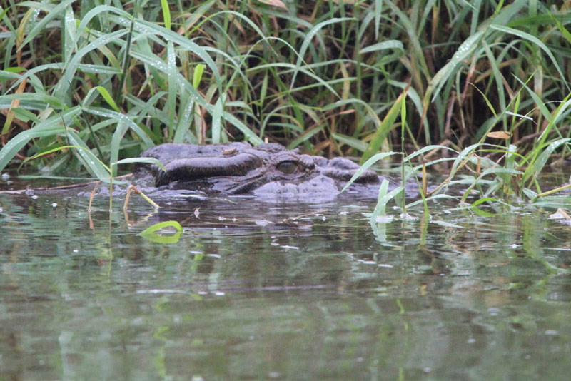 The Cruisin’ Ultimate Travel Reporter Experience Part 2 The Cruisin’ Ultimate Travel Reporter Experience Part 2 - Cruisin Motorhome Rentals Australia