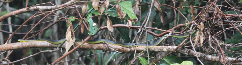 The Cruisin’ Ultimate Travel Reporter Experience Part 2 The Cruisin’ Ultimate Travel Reporter Experience Part 2 - Cruisin Motorhome Rentals Australia