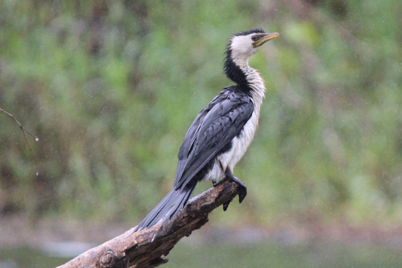 The Cruisin’ Ultimate Travel Reporter Experience Part 2 The Cruisin’ Ultimate Travel Reporter Experience Part 2 - Cruisin Motorhome Rentals Australia