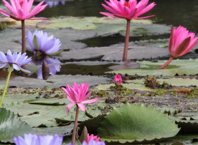 The Cruisin’ Ultimate Travel Reporter Experience Part 3 The Cruisin’ Ultimate Travel Reporter Experience Part 3 - Cruisin Motorhome Rentals Australia