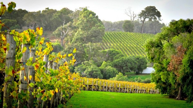 Margaret River, Western Australia 