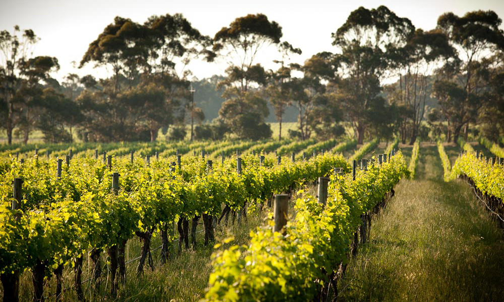 10 Australian Destinations to Visit in Autumn 10 Australian Destinations To Visit In Autumn - Cruisin Motorhome Rentals Australia