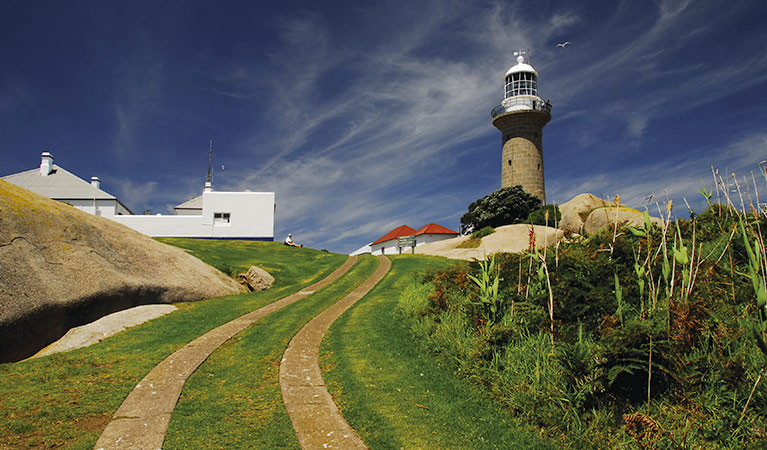 Montague Island, New South Wales