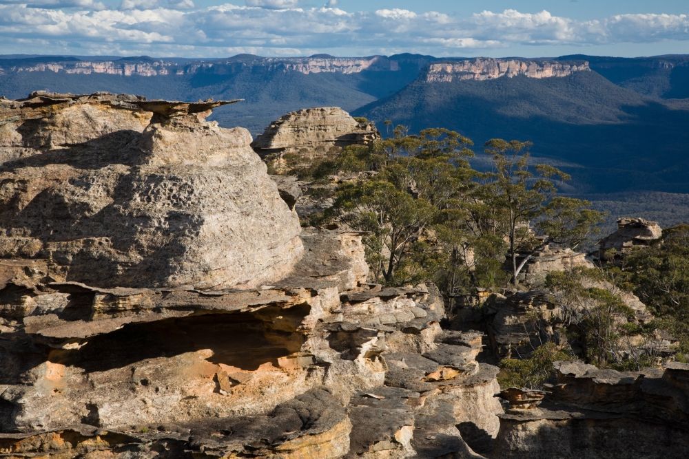 Adventures In New South Wales