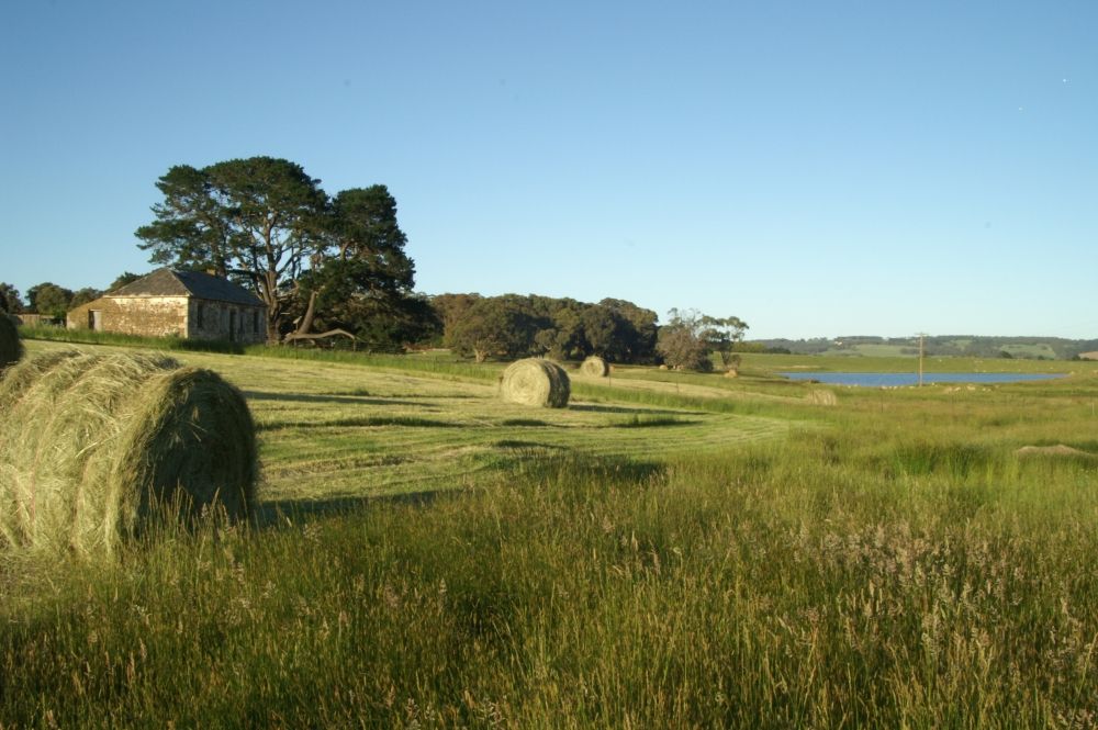Adventures In New South Wales