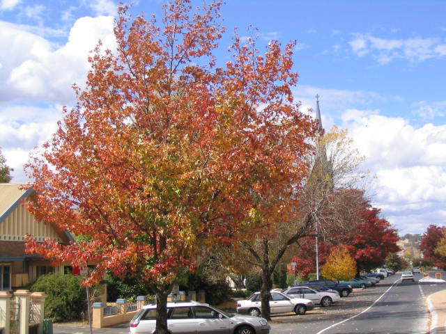 10 Australian Destinations to Visit in Autumn 10 Australian Destinations To Visit In Autumn - Cruisin Motorhome Rentals Australia