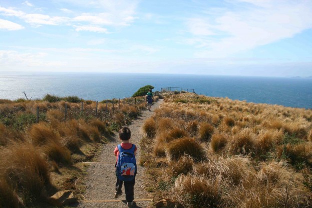 5 Reasons Kids Love Motorhome Adventures Hike During a Motorhome Holiday