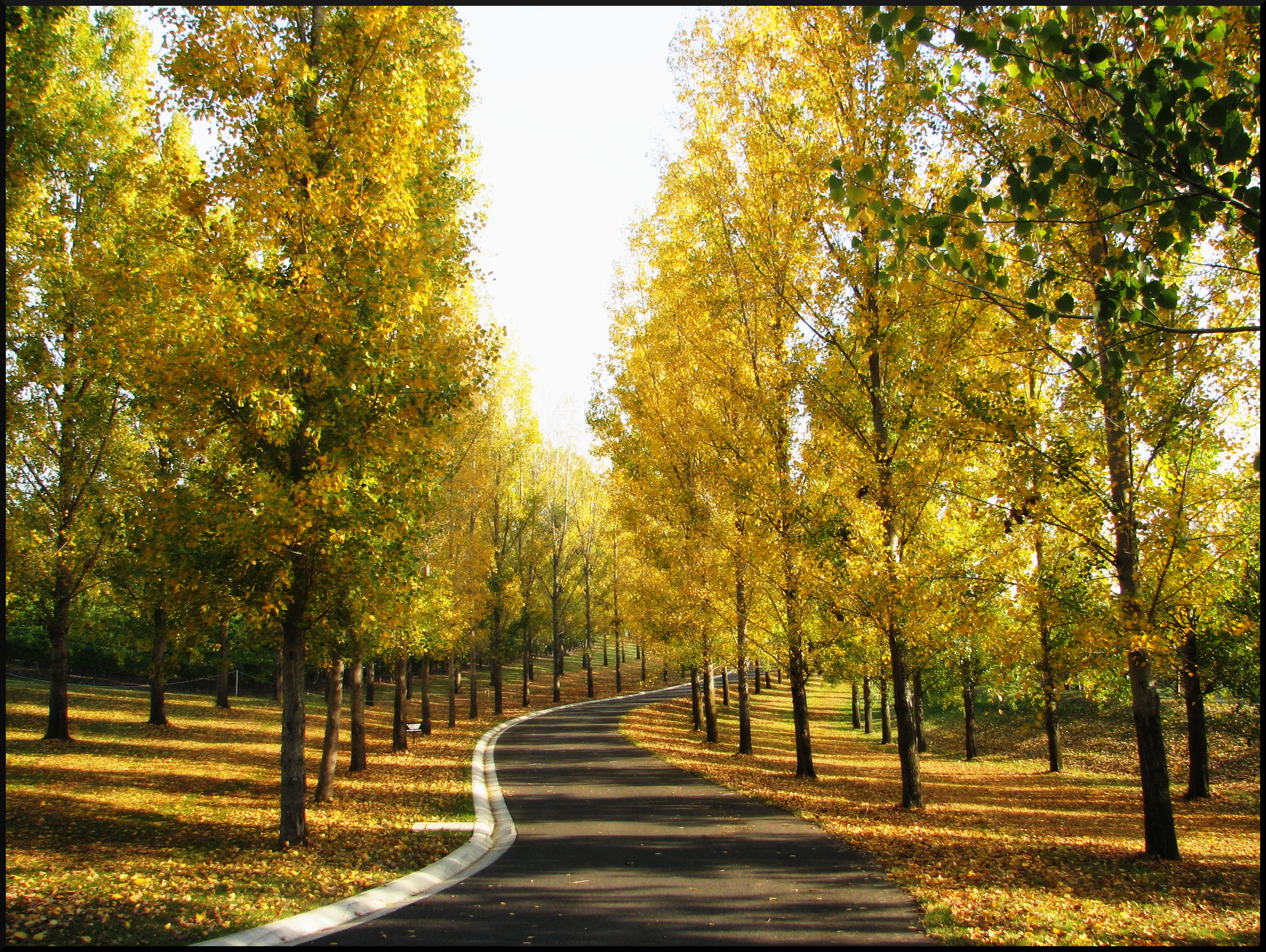 10 Australian Destinations to Visit in Autumn 10 Australian Destinations To Visit In Autumn - Cruisin Motorhome Rentals Australia