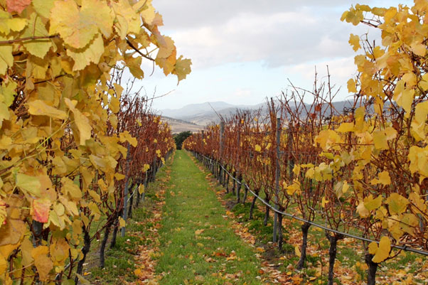 Cruisin’ Ultimate Romantic Escape By Chris Patch Frogmore Creek Winery, Coal River Valley