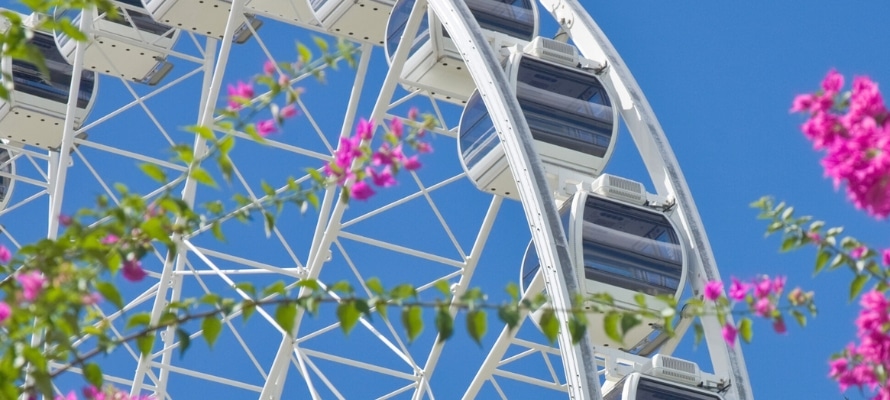 Wheel of Brisbane