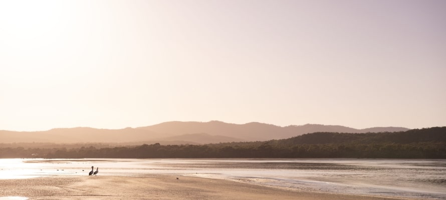 Narawntapu