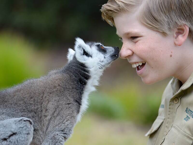 10 Family Friendly Activities in Brisbane
