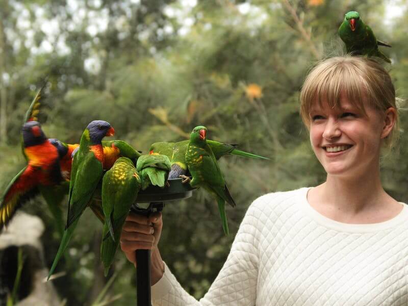 10 Family Friendly Activities in Brisbane