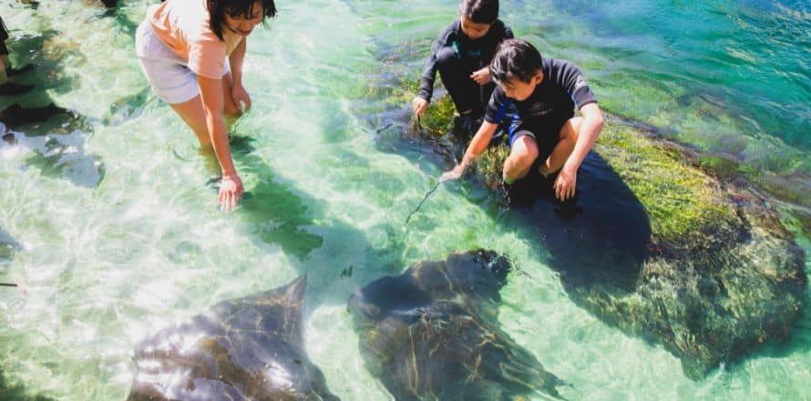 10 Family-Fun Destinations In NSW To Visit This Summer