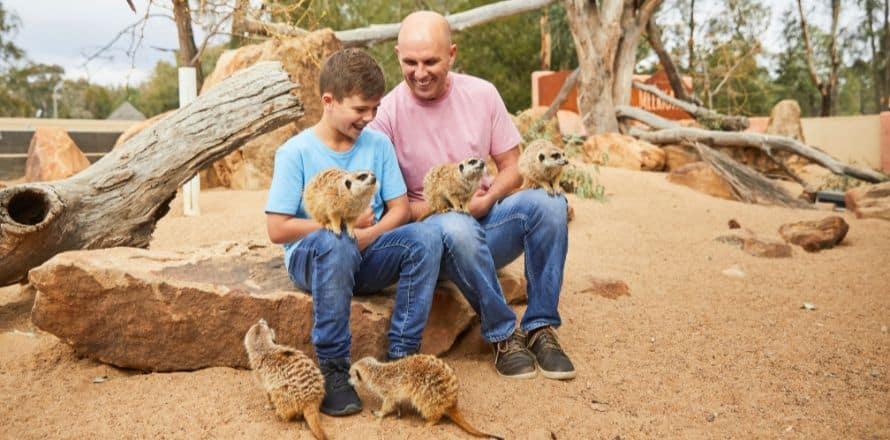 10 Family-Fun Destinations In NSW To Visit This Summer