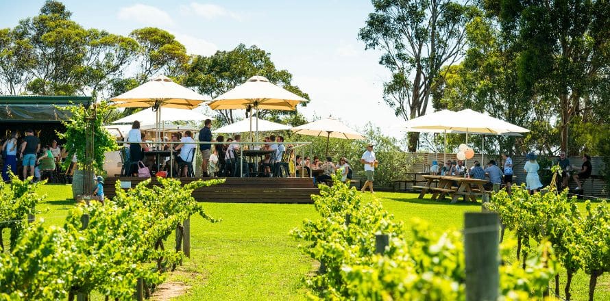 Wine Regions In Victoria
