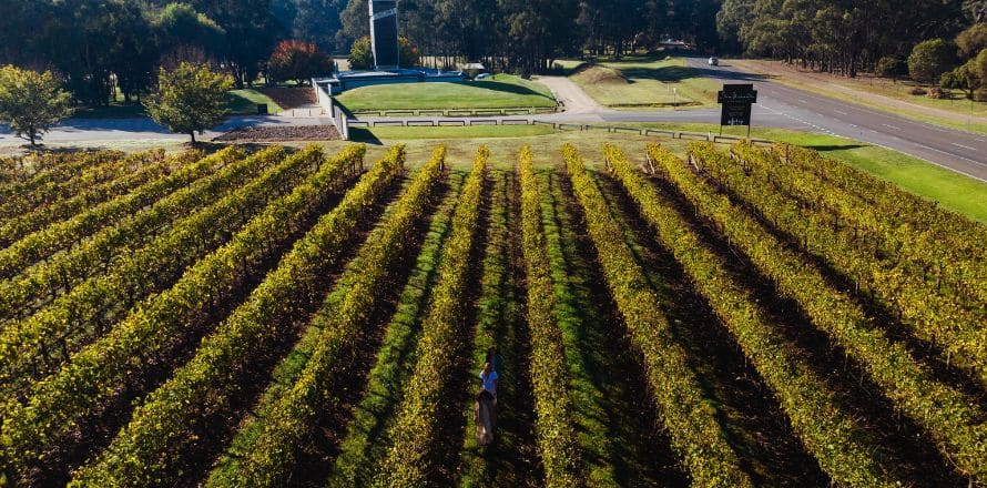 Wine Regions In Victoria