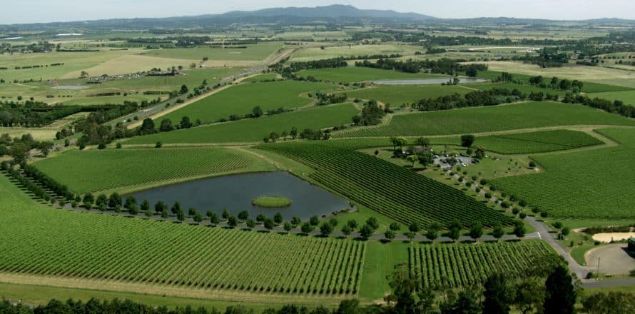 Wine Regions In Victoria