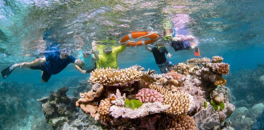 Exploring The Colourful Corals Of The Great Barrier Reef (Cairns)