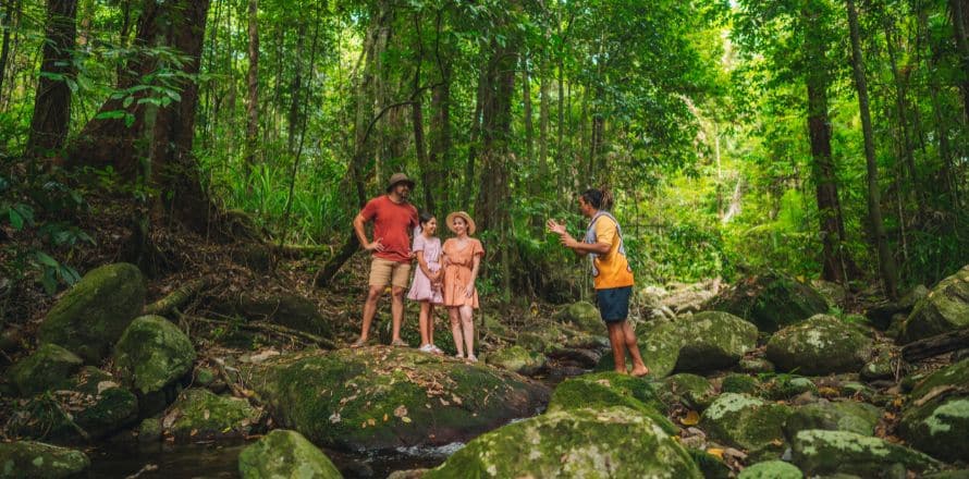 Wildlife Spotting At The Daintree Rainforest (Daintree)