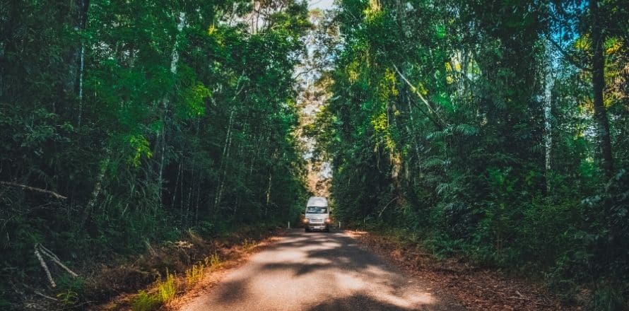 Cape Tribulation