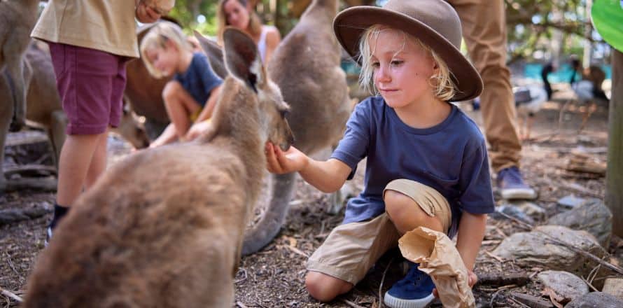 Embark On A Road Trip To Port Douglas