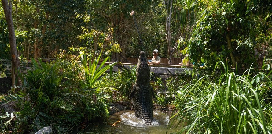 Tasman Holiday Parks Cairns Cool Waters