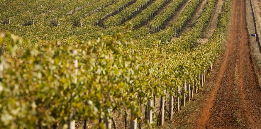 Underrated Destinations In Victoria