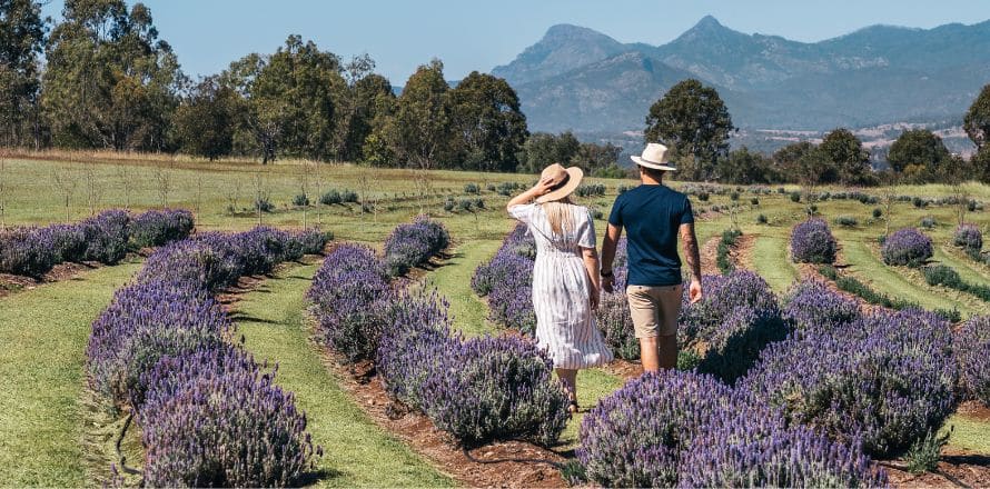 Scenic Rim