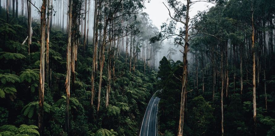 Underrated Destinations In Victoria