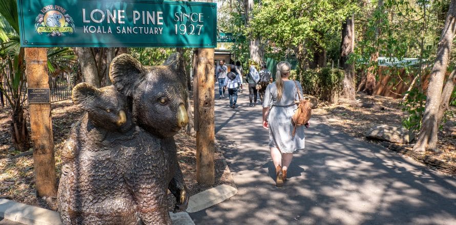 Lone Pine Koala Sanctuary