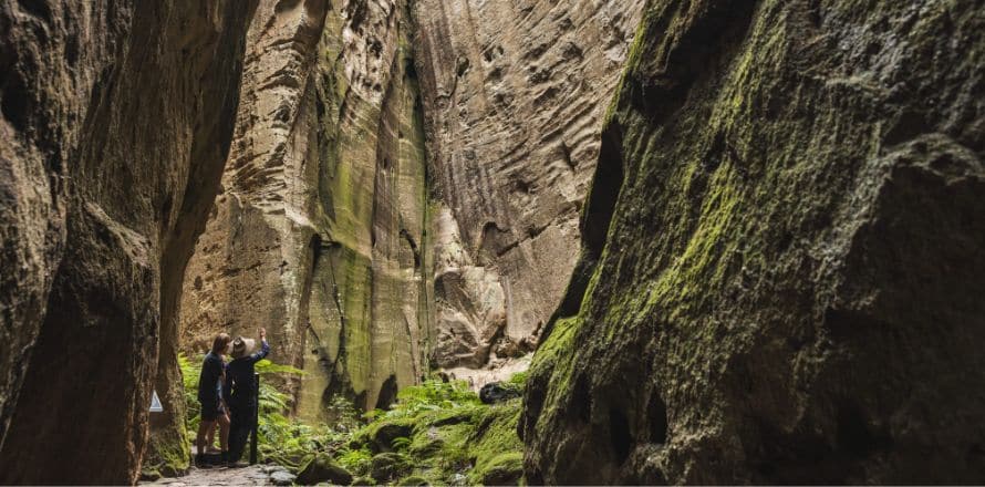 Carnarvon Gorge