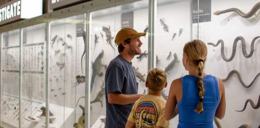 Queensland Museum