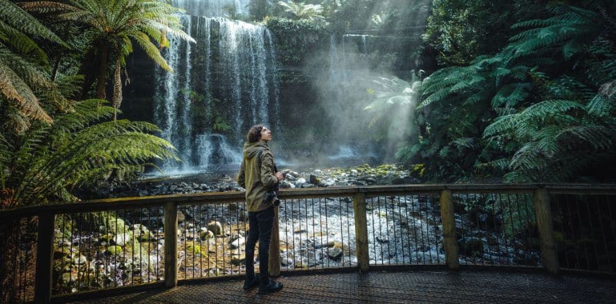 Mt Field National Park