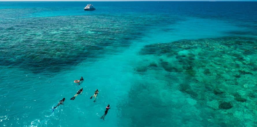 Scuba Diving and Snorkelling the Great Barrier Reef