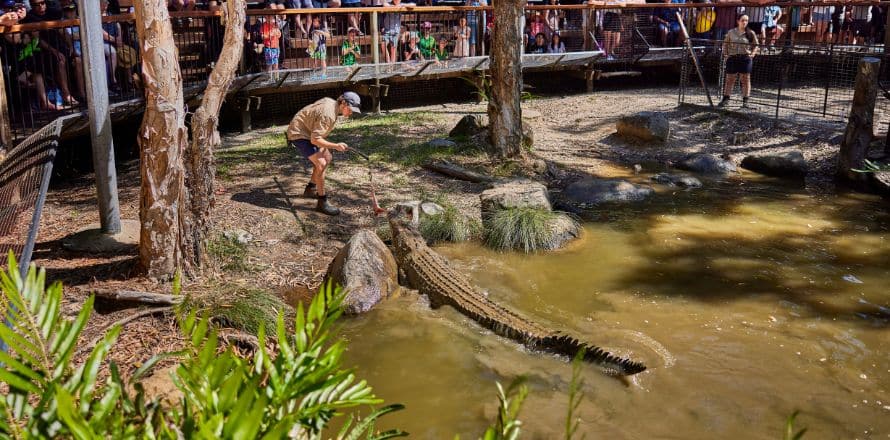 Hartley's Crocodile Adventures