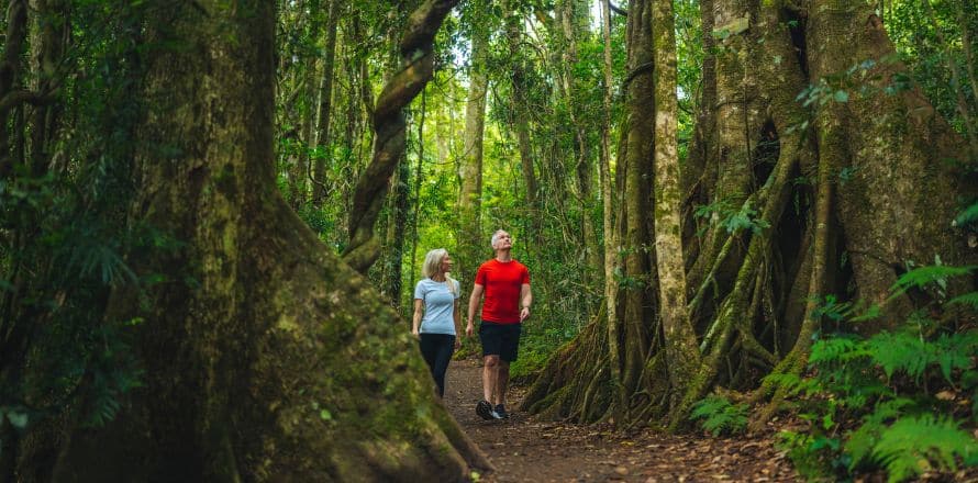 Lamington National Park