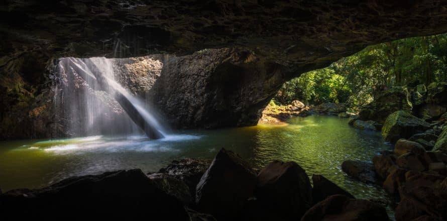 Springbrook National Park