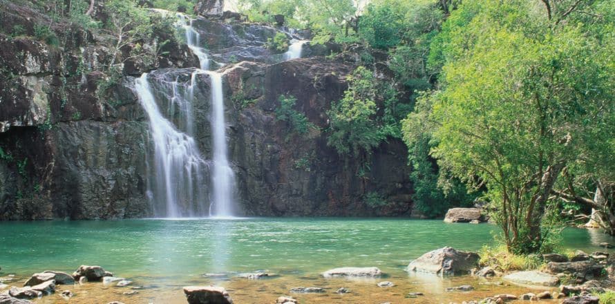 Tamborine National Park